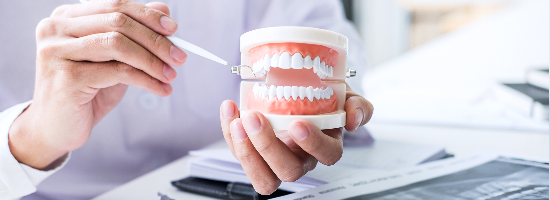 A person holding a cup with a tooth model inside while sitting at a desk.